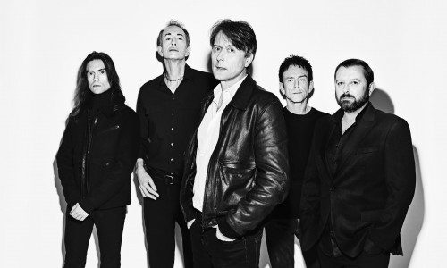 Suede - 